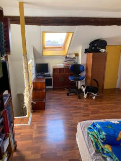 Chambre spacieuse - 5