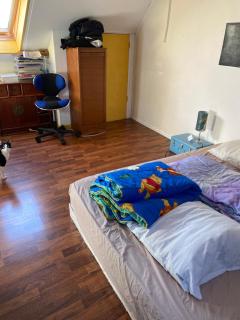 Chambre spacieuse - 4