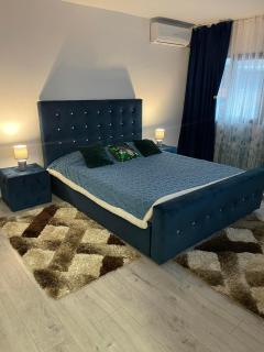 Apartament NECTARIA - Băile Herculane - 3