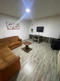 Apartman Jošanička Banja - Jošanička Banja - 8