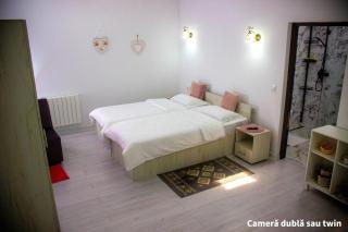 Ami's Home - Săpânța - 8
