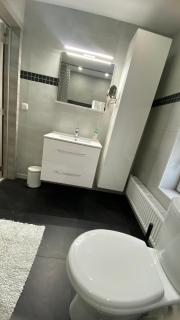 Next2Airport - Appartement House of Lions - Ransart - 1