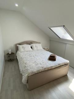 Next2Airport - Appartement House of Lions - Ransart - 3
