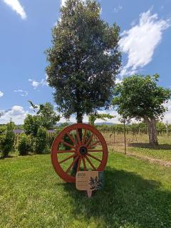 L'Antico Fienile - 4