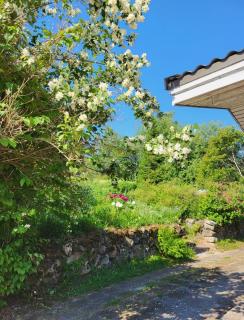 Agda's Garden - Sulkava - 4