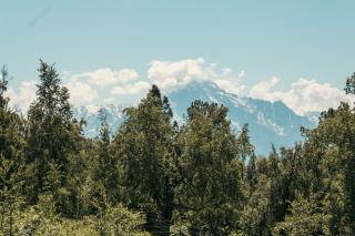 Lazy Mountain Guest House - Palmer - 8