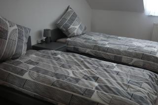 Moderne Wohnung in Eutritzsch - 0