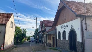 Belegrady 311 - Velké Bílovice - 1