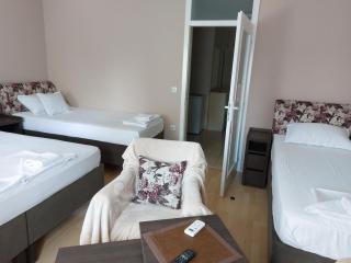 Apartments MIMOZA - Jagodina - 4
