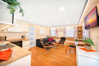 Apartmány mlýn - Rokytnice nad Jizerou - 8
