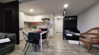 Apartament Centrum w Parku przy Katedrze nr 7 - Kwidzyn - 8