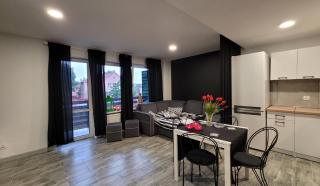 Apartament Centrum w Parku przy Katedrze nr 7 - Kwidzyn - 7