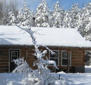 Nottawasaga Hideaway Bed and Breakfast - Collingwood - 4