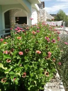 Apartments with parking space Sevid, Trogir - 16111 - 4