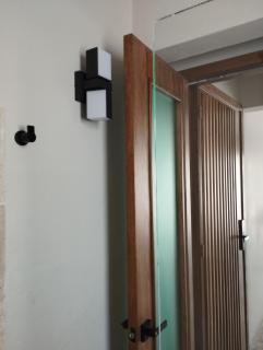 Mono 205 - Città di Oaxaca - 5