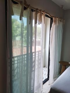 Mono 205 - Città di Oaxaca - 2