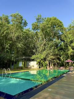 Birds Paradise Inn - 1