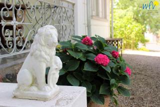 Villa Sanssouci Ferienwohnung Strandläufer - Binz - 1