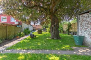 Buchenheinrich Gretes Dackstuuv - 4