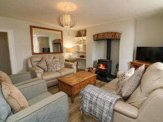 Partridge Cottage - Ilfracombe - 7