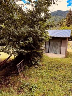 Cozy house in the forest - Borjomi - 4