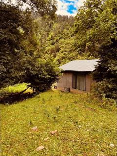 Cozy house in the forest - 9