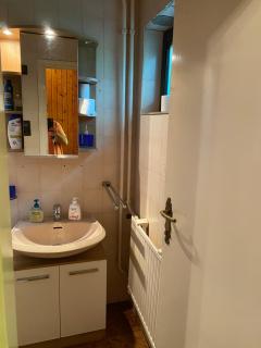 Luxury 3 BR Vila in a forest 10min drive from city center - Budapest - 1