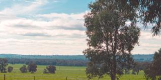 Wagga Wagga Tourist Park - Wagga Wagga - 0