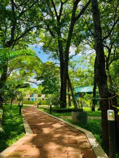 Maritime Nest Cabanas - Tangalle - 1