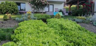 Apartma na Ravnicah - 3