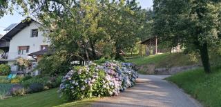 Apartma na Ravnicah - Cerkno (Circhina) - 7