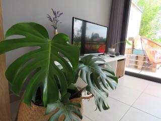 Les Jardins d'Oc - Wifi, Terrasse et Jardinet - Appart T2 neuf - 5