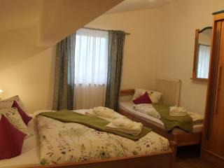 Apartment in Saalfelden near Ski Slopes - 2