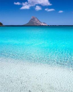 Olivastro Apartment Murta Maria - 7