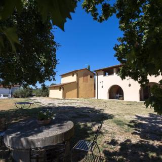 azienda agricola lo zolfino - Penna - 8