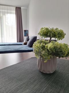 Blanka Apartman Plage - Hajdúszoboszló - 9