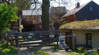 Zum Alten Eselstall - - 8