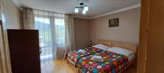 Guesthouse Robi - Mestia - 1