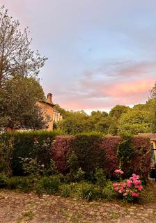 Le Roi Soleil - Proche Avenue de Paris - Cozy - 6