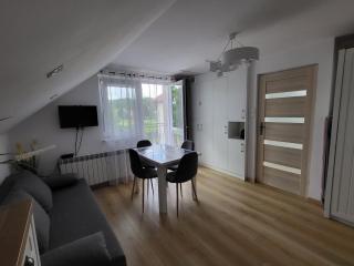 Domek pod Hyrką Bieszczady-Lesko - Lesko - 8