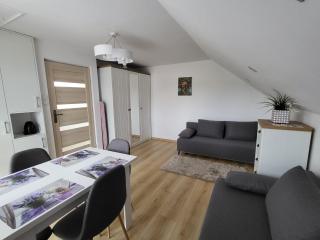 Domek pod Hyrką Bieszczady-Lesko - Lesko - 6