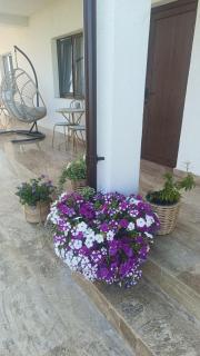 Casa Viviana - Vama Veche - 9