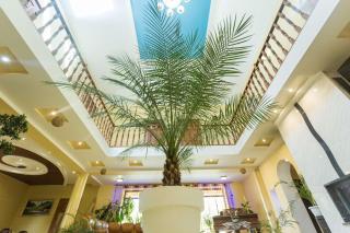 Villa Fenix - 0