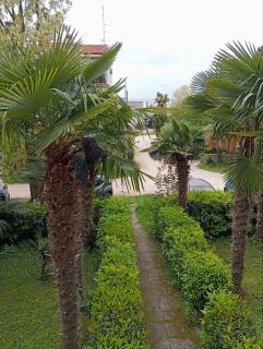 Apartman Maja - 170m od plaže - 8