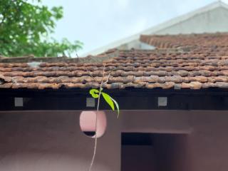 Fairyhouse Hue - Thôn An Vân Thượng - 9