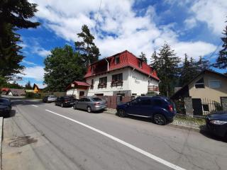 Vila Felix - Sinaia - 4