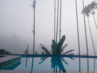 Silent Pool Villa - Madikeri - 5