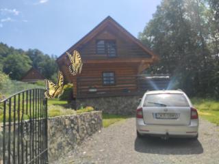 Kwietna łąka na szlaku - 2