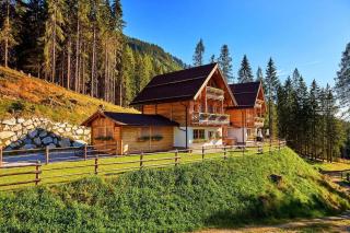 Chalet Almidylle In Sankt Martin Am Tennengebirge - 6
