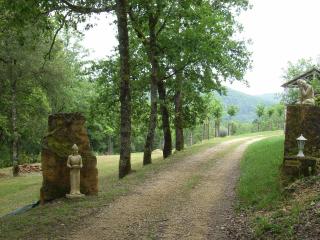 Studio aux Eyzies au coeur de la vallée de l'homme - 3